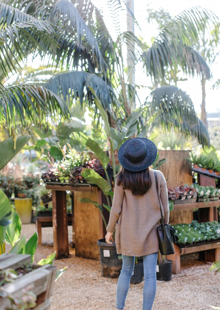 Picture of a nursery near Dogpatch neighborhood